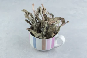 עלי פטל בהריון